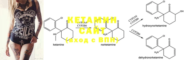 PSILOCYBIN Аркадак