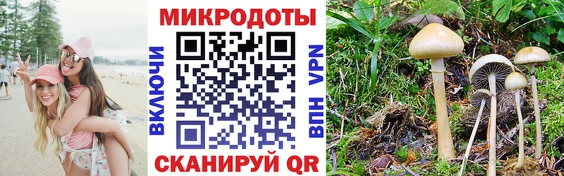 Купить где  Лысьва  Галлюциногенные грибы MAGIC MUSHROOMS 